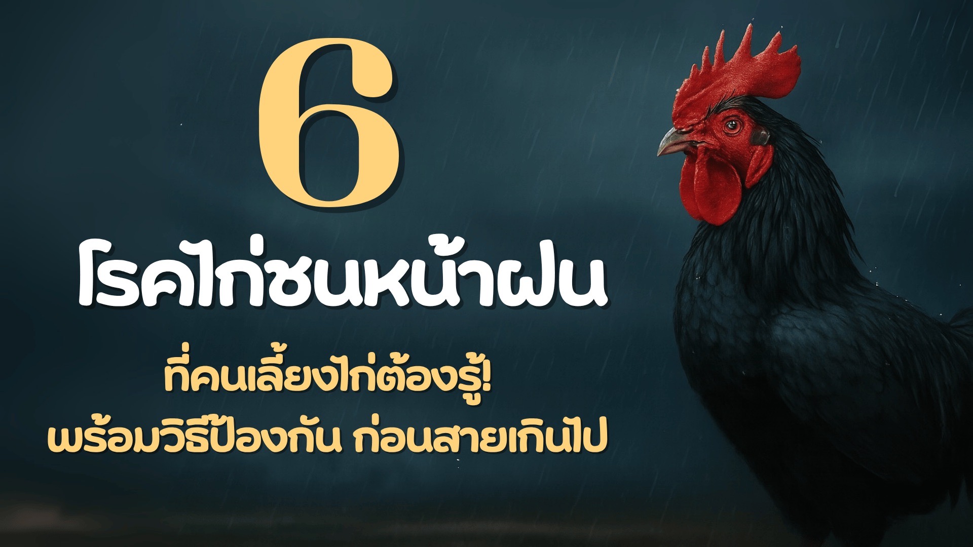 โรคไก่ชน